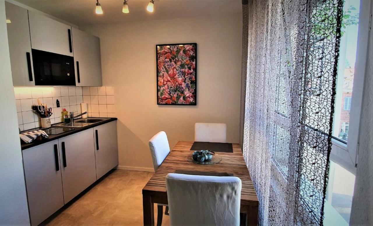 Deluxe Apartment Flamingo In Paradise Freiburg im Breisgau Exteriér fotografie